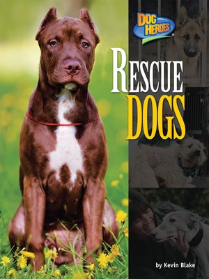 Rescue Dogs - ebook